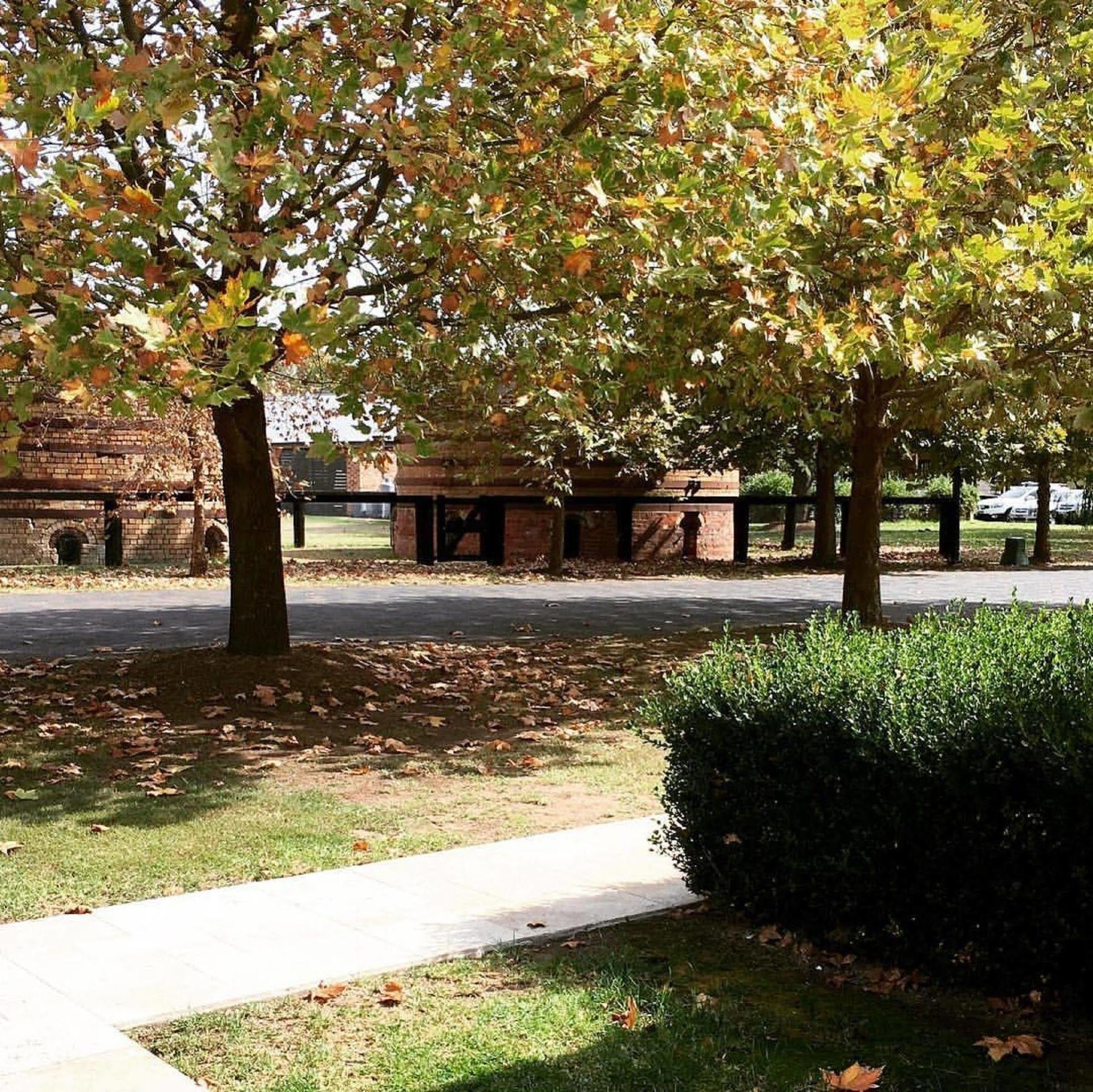 Potters Apartments Cessnock Kültér fotó
